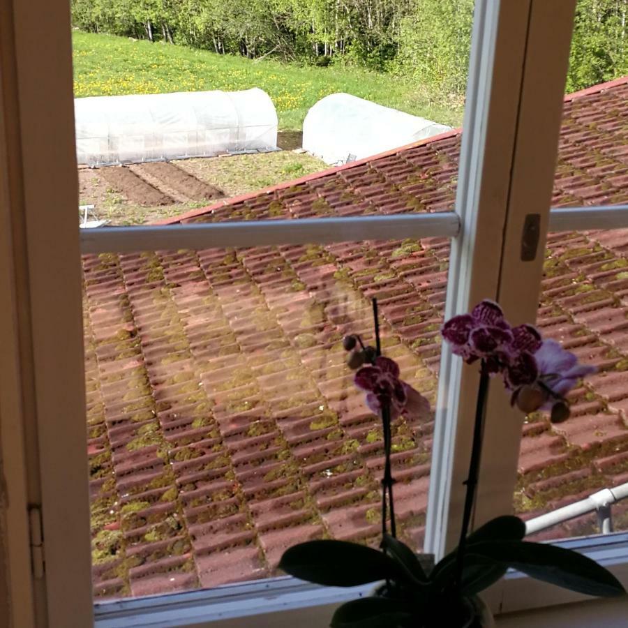 Sjugare Gard Bed & Breakfast Leksand Exterior foto